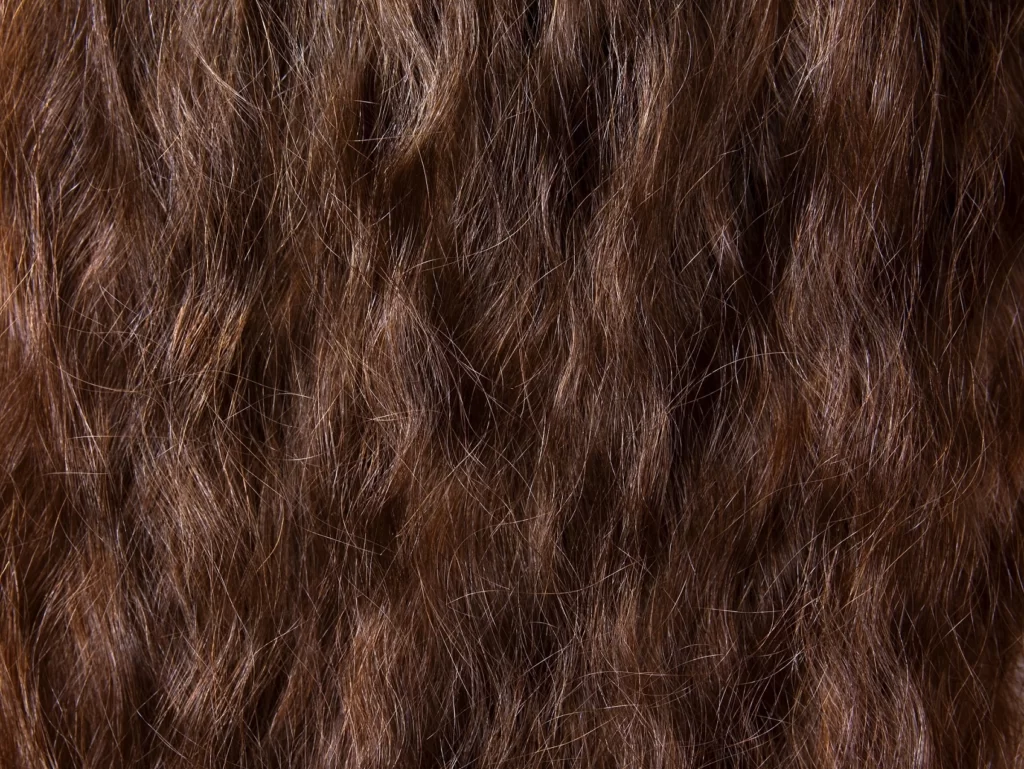 Anwen - porowatość włosów